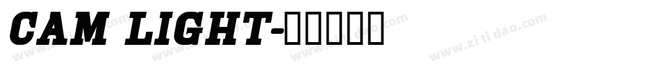 Cam Light字体转换